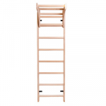 &Scaron;vedi&scaron;ka sienelė BenchK 111 Series 1