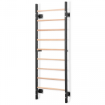 &Scaron;vedi&scaron;ka sienelė Gymstick Wall Bars Wood & Steel