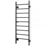 &Scaron;vedi&scaron;ka sienelė Gymstick Wall Bars Steel