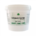 Kreatinas &bdquo;Baltų Galia Creatine Pure&ldquo;, 500 g