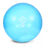 Gimnastikos kamuolys BOSU Ballast Ball 65 cm