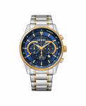 Citizen Chronograph AN8194-51L