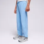 JORDAN KELNĖS JDB MJ SPORT STMT HOOP FLC PAN BOY MĖLYNA