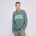 DICKIES DŽEMPERIS AITKIN SWEATSHIRT ŽALIA