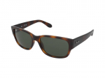 Sunglasses Ray-Ban RB4388 710/31