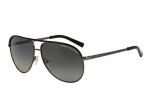 Sunglasses Armani Exchange AX2002 6006T3