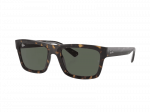 Sunglasses Ray-Ban Warren RB4396 135971