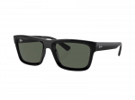 Sunglasses Ray-Ban Warren RB4396 667771
