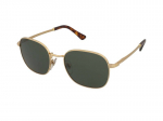 Sunglasses Persol PO1009S 515/31