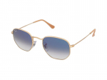 Sunglasses Ray-Ban RB3548 001/3F