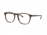 Akiniai Giorgio Armani AR7074 5405