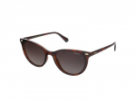 Sunglasses Polaroid PLD 4107/S 086/LA