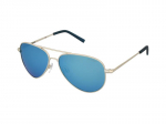 Sunglasses Polaroid PLD 8015/N J5G/JY