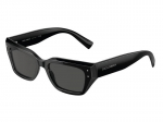 Sunglasses Dolce & Gabbana DG4462 501/87
