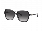 Sunglasses Michael Kors Jasper MK2196U 30058G