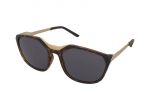 Sunglasses Alpina Fleek Havana Gold Gloss/Black