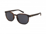 Akiniai nuo saulės Alpina Dimont Havana Matt/Black