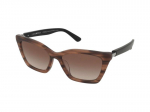 Akiniai nuo saulės Emporio Armani EA4250U 6266/13