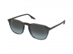 Sunglasses Ray-Ban RB2203 1391/GK