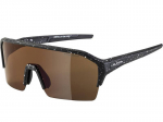 Sunglasses Alpina Ram HR Q-Lite Black-Blur Matt