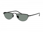 Sunglasses Giorgio Armani AR6166J 300111