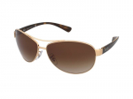 Sunglasses Ray-Ban RB3386 001/13