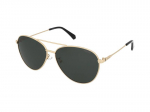 Sunglasses Polaroid PLD 4142/G/S/X PEF/UC