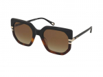 Sunglasses Chloe CH0240S 003