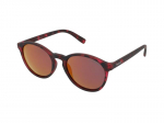 Sunglasses Polaroid PLD 8024/S C4B/AI