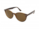 Sunglasses Ray-Ban RB4305 710/83