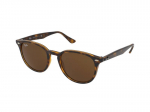 Sunglasses Ray-Ban RB4259 710/73