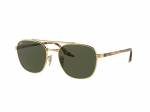 Sunglasses Ray-Ban RB3688 001/31