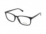 Glasses Polaroid PLD D488 807