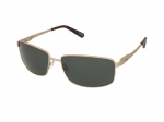 Sunglasses Caterpillar CTS 8030 001P