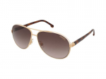 Sunglasses Carrera Carrera 1051/S Y3R/HA