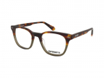 Akiniai Superdry SDO 3065 109