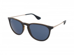 Sunglasses Ray-Ban Erika Color Mix RB4171 639080