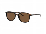Sunglasses Ray-Ban Leonard RB2193 902/57