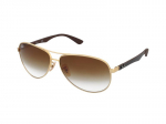 Sunglasses Ray-Ban RB8313 001/51