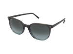 Sunglasses Ray-Ban Elliot RB2197 1391GK