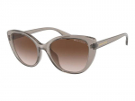 Sunglasses Armani Exchange AX4111SU 824013