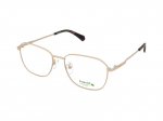 Glasses Polaroid PLD D454/G J5G