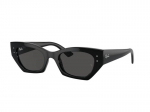 Sunglasses Ray-Ban RB4430 667787