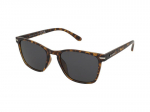 Sunglasses Alpina Yefe Havana Gloss/Black