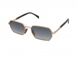 Sunglasses David Beckham DB 1174/S RHL/1V
