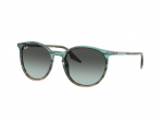Sunglasses Ray-Ban RB2204 1394GK