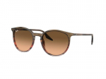 Sunglasses Ray-Ban RB2204 13953B