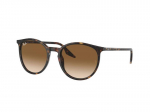 Sunglasses Ray-Ban RB2204 902/51