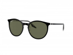 Sunglasses Ray-Ban RB2204 919/58