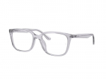 Glasses Ray-Ban RX7248D 8411